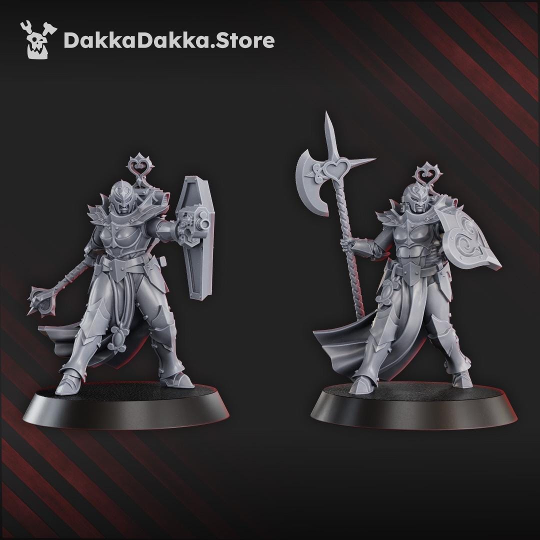 Maidens of Praesidium Squad (x5) Preassembled and Build Kit | DakkaDakka