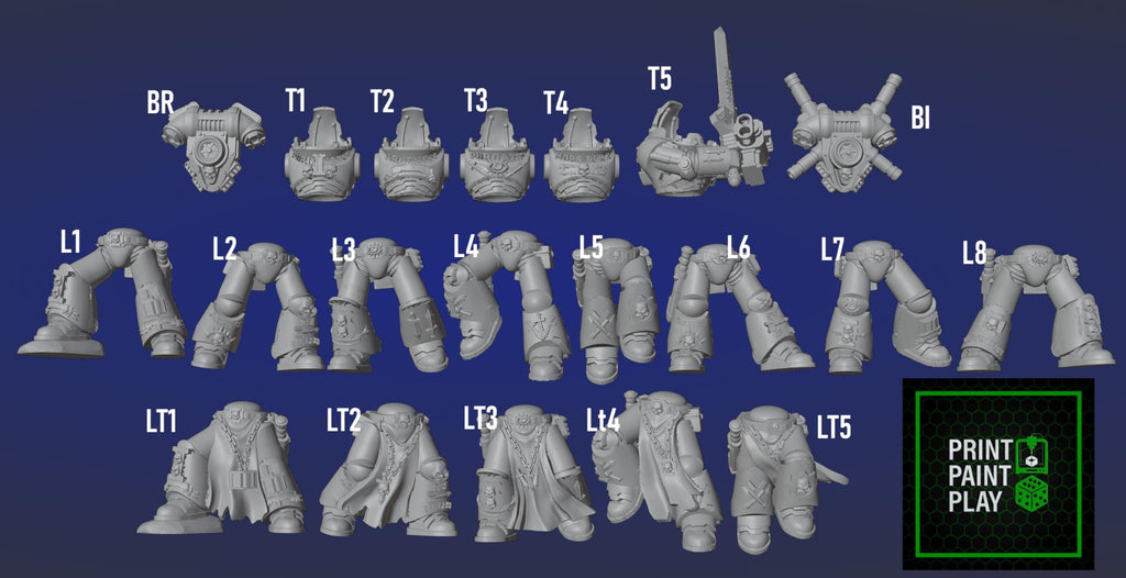 Silver Wardens Nemestrike Force Marines | DMG Minis