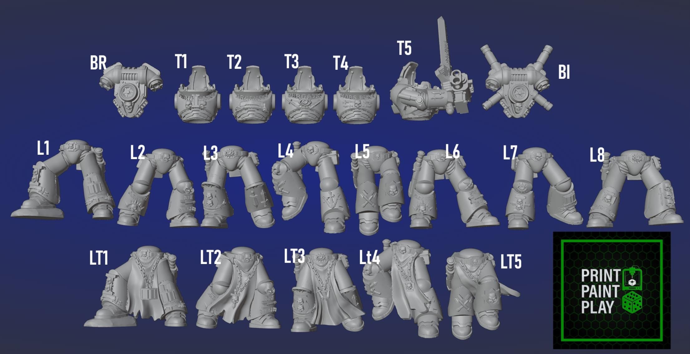 Silver Wardens Nemestrike Force Marines | DMG Minis