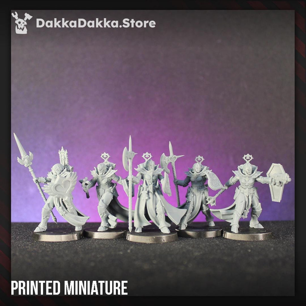 Maidens of Praesidium Squad (x5) Preassembled and Build Kit | DakkaDakka