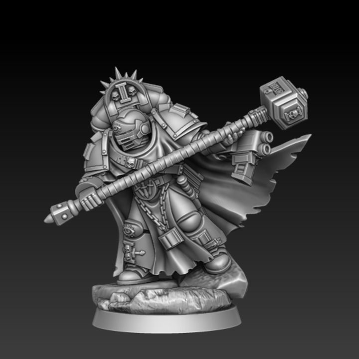 Silver Wardens Champion of the Brothers UPDATED | DMG Minis