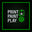 Print Paint Play Store logo