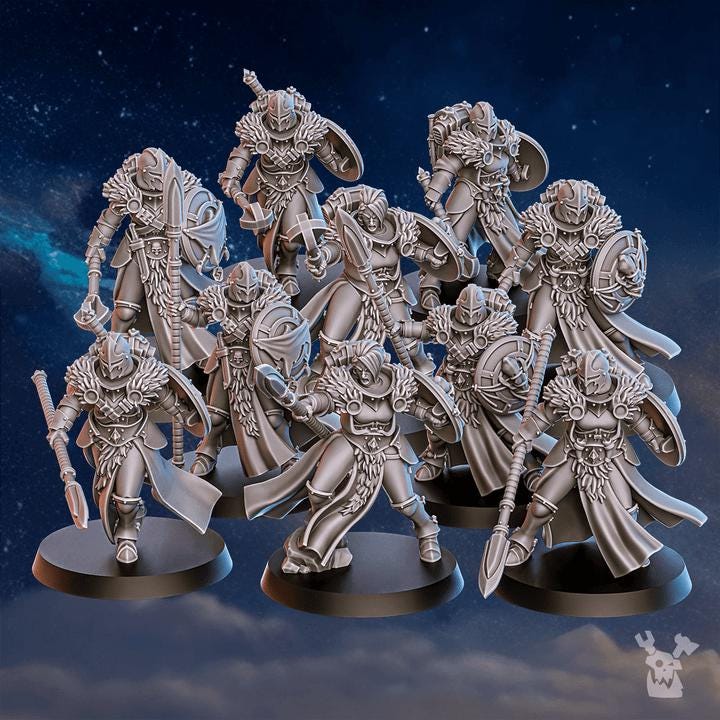 Icewall Squad (pre-assembled) Stormpride | DakkaDakkaStore