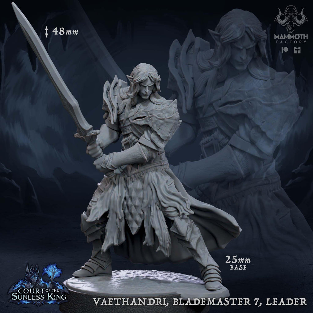 Vaethandri Blademaster Leader | Mammoth Factory | 3d Printed TTRPG Miniature