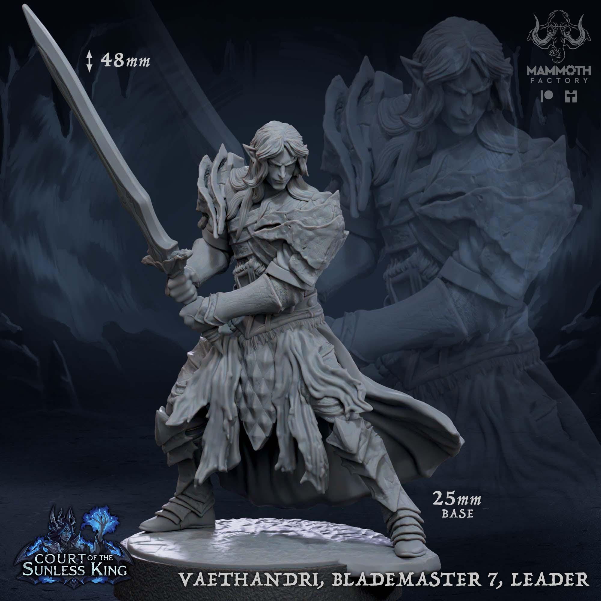 Vaethandri Blademaster Leader | Mammoth Factory | 3d Printed TTRPG Miniature