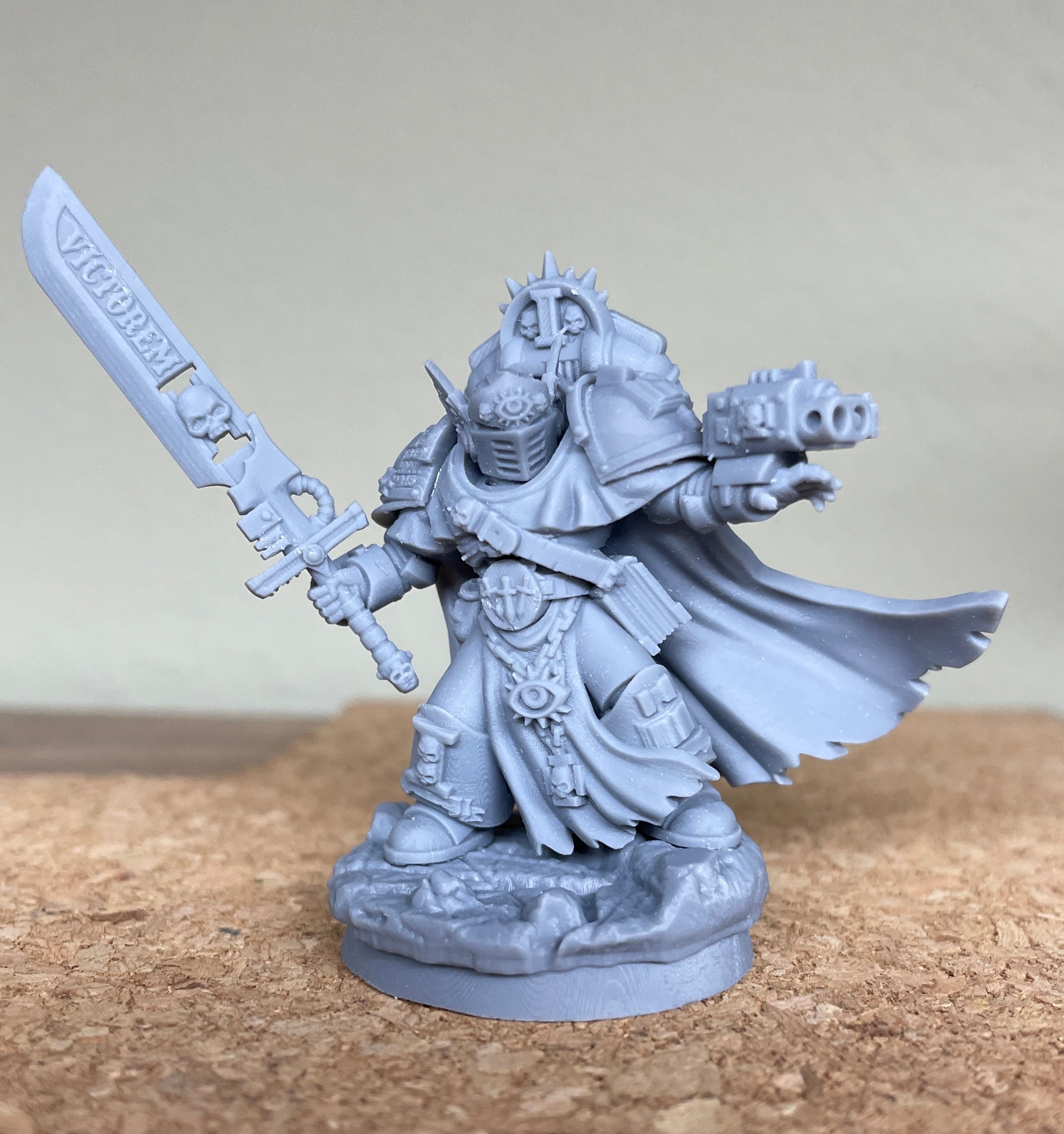 Silver Wardens Champion of the Brothers UPDATED | DMG Minis